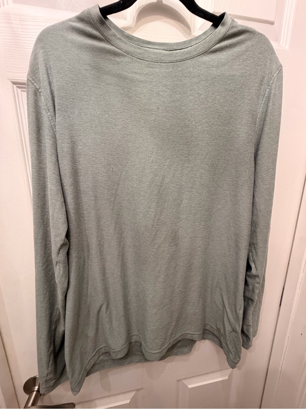 Viori Men's Long-Sleeve Crewneck Tee in Sage Green